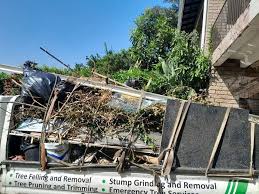 Best Shed Removal  in Stafford Springs, CT