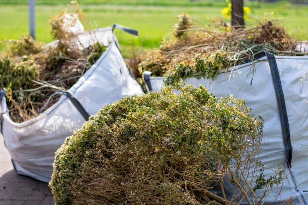 Best Moving and Downsizing Cleanouts  in Stafford Springs, CT