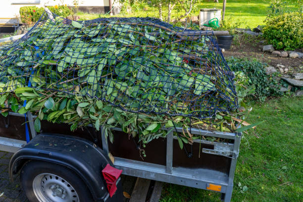 Best Estate Cleanout  in Stafford Springs, CT